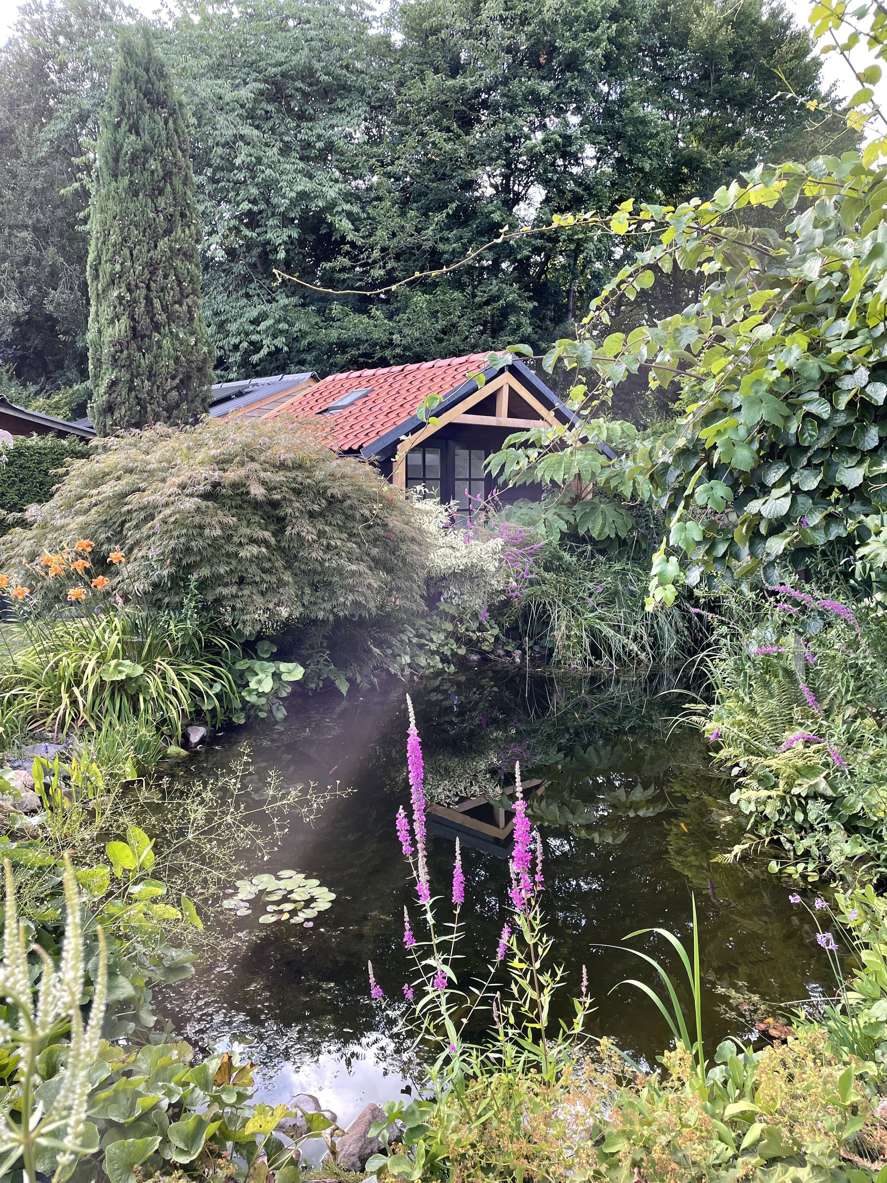 Prachtige tuinvijver met weelderige beplanting, paarse bloemen, waterlelies en diverse plantenlagen die de expertise van Hof van Eden in beplantingsontwerp demonstreren